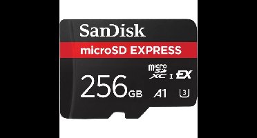 SanDisk microSD Express 256 GB geheugenkaart