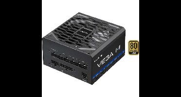 Chieftec Vega M PPG-850-C voeding