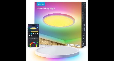 Govee Ceiling Light lamp