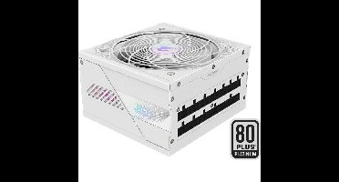 GIGABYTE AORUS ELITE GP-AE850PM PG5 ICE voeding