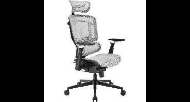 Sharkoon OfficePal C50M stoel