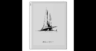 BOOX Go 10.3 e-reader