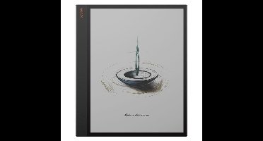 BOOX Tab X C 13.3'' tablet-pc