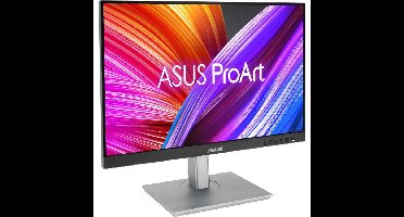 ASUS ProArt Display PA248CNV ledmonitor