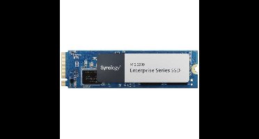 Synology SNV5420-800G SSD