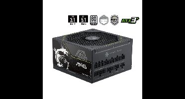MSI MAG A1200PLS PCIE5 voeding