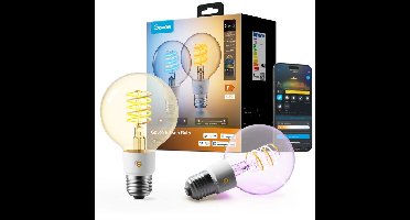 Govee Edison Bulb G80 E27 (2-stuks) ledlamp