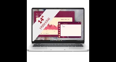 Dell Pro 14 PC14250 14'' laptop