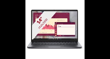 Dell Pro 14 PC14250 14'' laptop