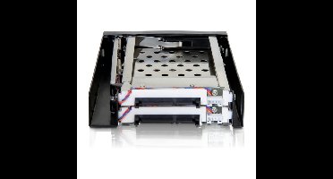 DeLOCK 3.5" Mobile Rack voor 2x 2.5" SATA wisselframe