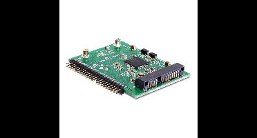 DeLOCK IDE 44p -> mSATA Converter