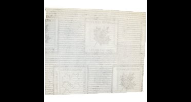 vetfilter 47x57cm - 2 stuks universeel voor afzuigkap tot 60 cm