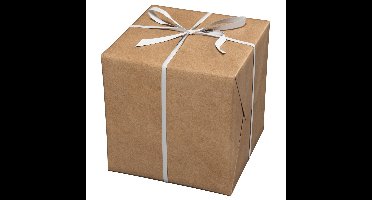 Cadeaupapier - 10 meter - kraft