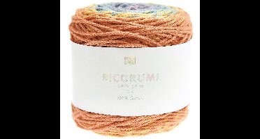 Ricorumi Spin Spin - 50 gram - 019 regenboog aardtinten