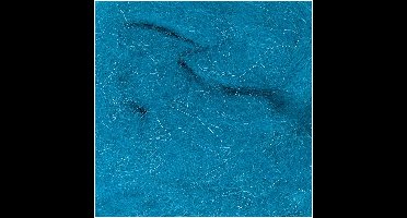 Viltwol - 50 gram - blauw