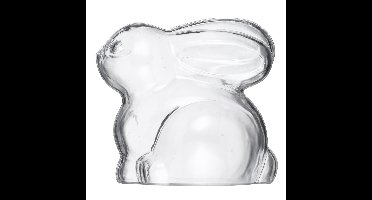 Plastic paashaas - 2-delig