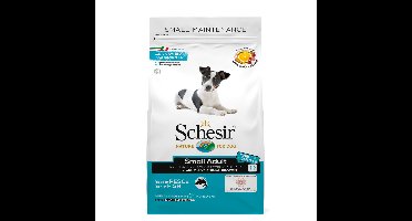 6x Schesir Hond Dry Maintenance Small Vis 2 kg