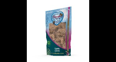 4x Renske Gezonde Beloning Crunchy Hondensnack Lam 1100 gr