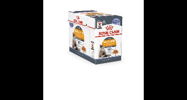 48x Royal Canin Hair&Skin Care Jelly Kattenvoer Nat 85 gr