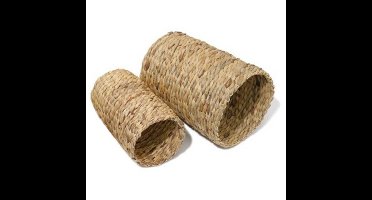 Rosewood Hyacinth Tunnel