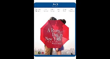 Rainy Day In New York (Woody Allan movie)