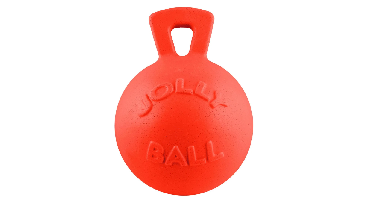 Jolly Pets - Tug-N-Toss - 15cm - Orange (Vanilla Smell) - (JOLL045C)