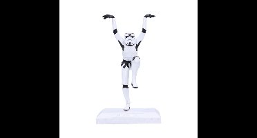 Stormtrooper Crane Kick