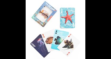 Kikkerland - Fish 3D Cards