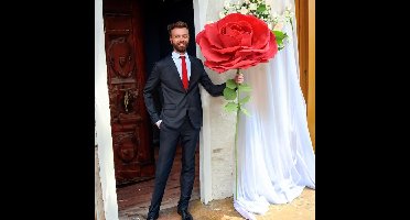 XXL Rose