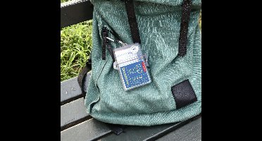 Dominoes Travel Game