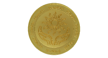 Dungeons&Dragons 24k Gold Plated Amulet of Health Medallion