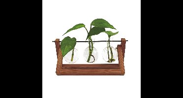 Winkee - Hydro Vases Blossom - Vase