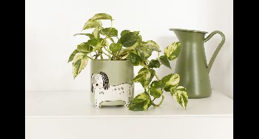Winkee - Flower pot dog - Height: 40 cm, Diameter: 13 cm