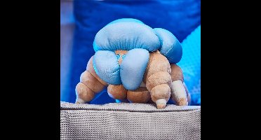 Numskull - Destiny Plush Screeb Hatchling