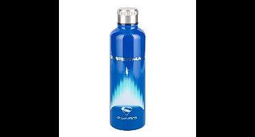 Superman Theatrical Metal Water Bottle