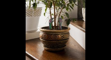 Mad Monkey - Zombie Hands