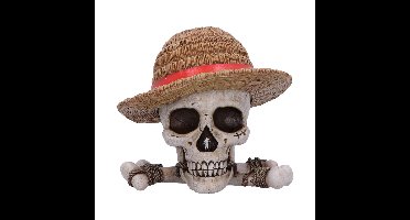 One Piece Luffy Jolly Roger Box