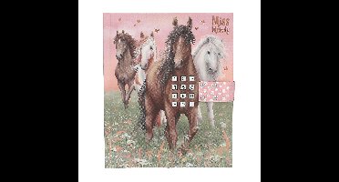 Miss Melody - Diary With Code And Sound, Design 1 (413236)