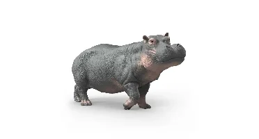 Schleich - Hippopotamus (14938)
