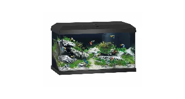 Juwel - Aquarium starter Primo 60 Black 2.0  LED 61x31x37cm - 60ltr