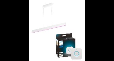 Philips Hue Ensis Pendant Light + Hue Bridge 2.1 Bundle