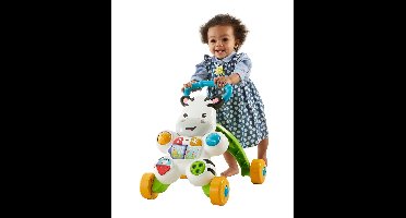 Fisher-Price Infant - Learn with Me Zebra Walker (DLD80)