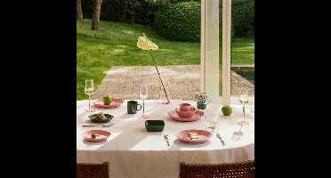 IITTALA - Essence Rose - Champagneglas 0,21l set/2 Roze