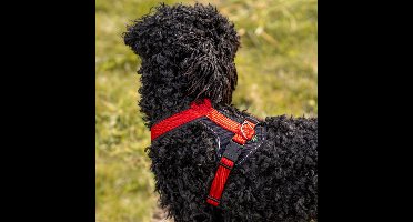 HUNTER Hondentuig Neopreen, rood, Maat: M/1