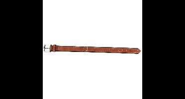HUNTER Hondenhalsband Canadian Up, bruin, Maat: 60