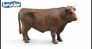 Bruder Stier