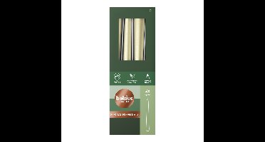 Bolsius gotische kaars 245/24 doos 4 Metallic Zilver