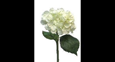 Hydrangea Artist cream 48cm