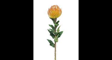 Nutans Segal oranje 74cm