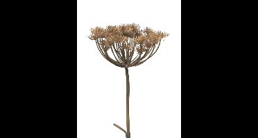 Kunsttak Heracleum